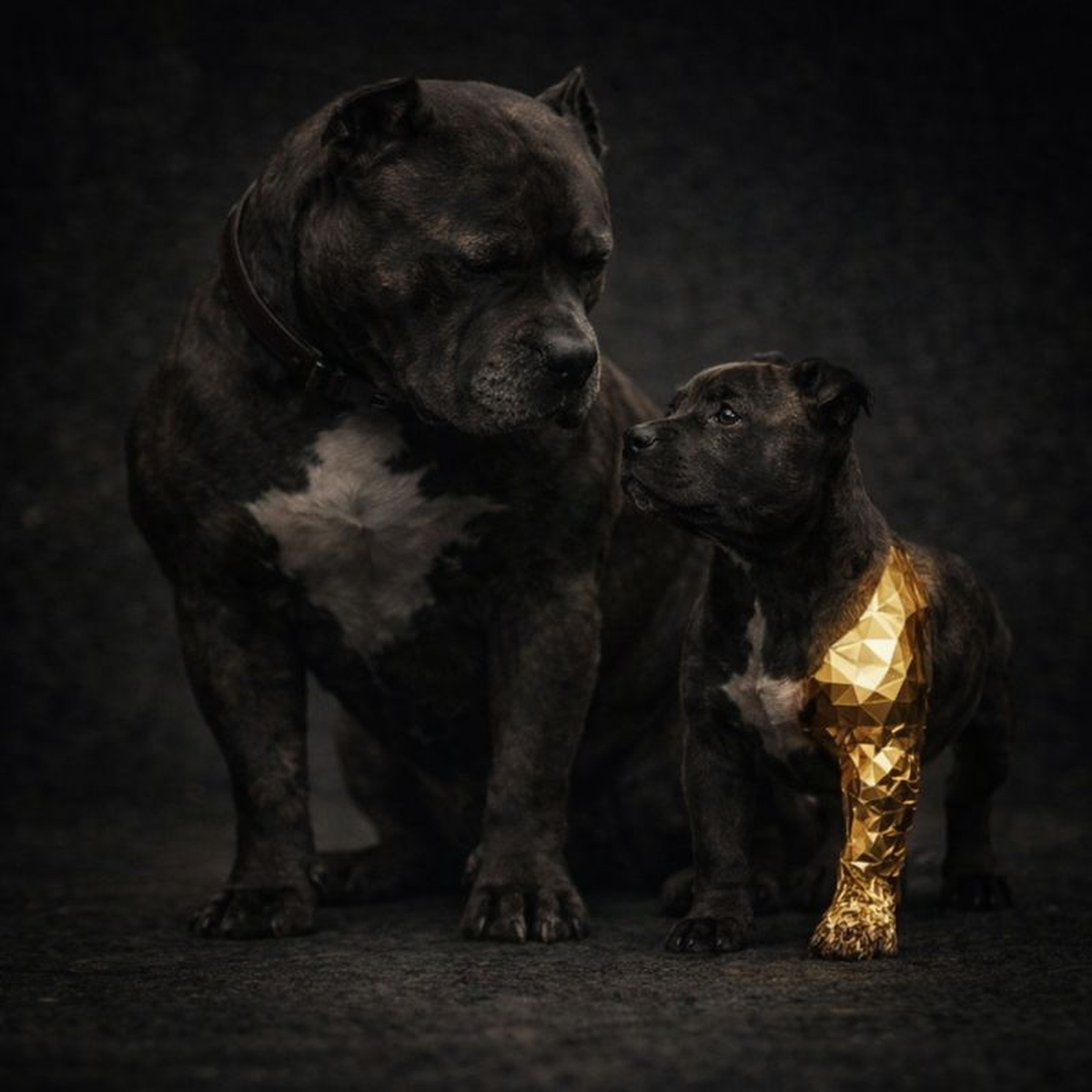 Goldene, hochglänzende Low-Poly-Pitbull-Illustration mit grünen Augen – Goldie Respawn Pit von papa.exe