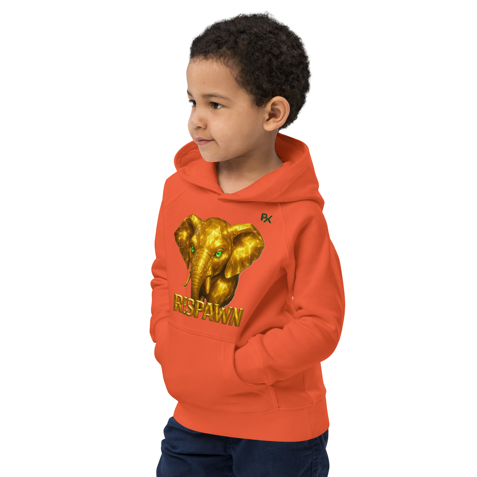 Kids Eco Hoodie | Goldie Respawn Dumbo