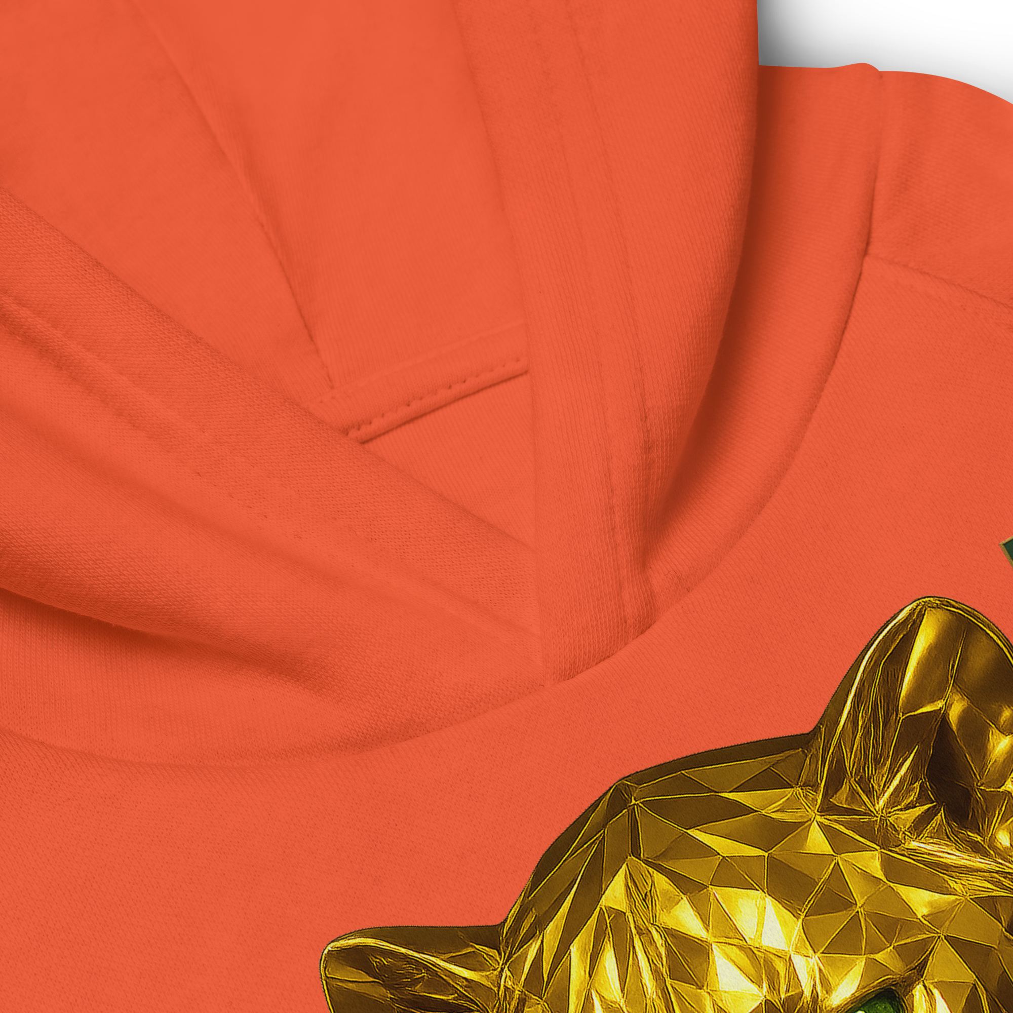 Kids Eco Hoodie | Goldie Respawn Tiger