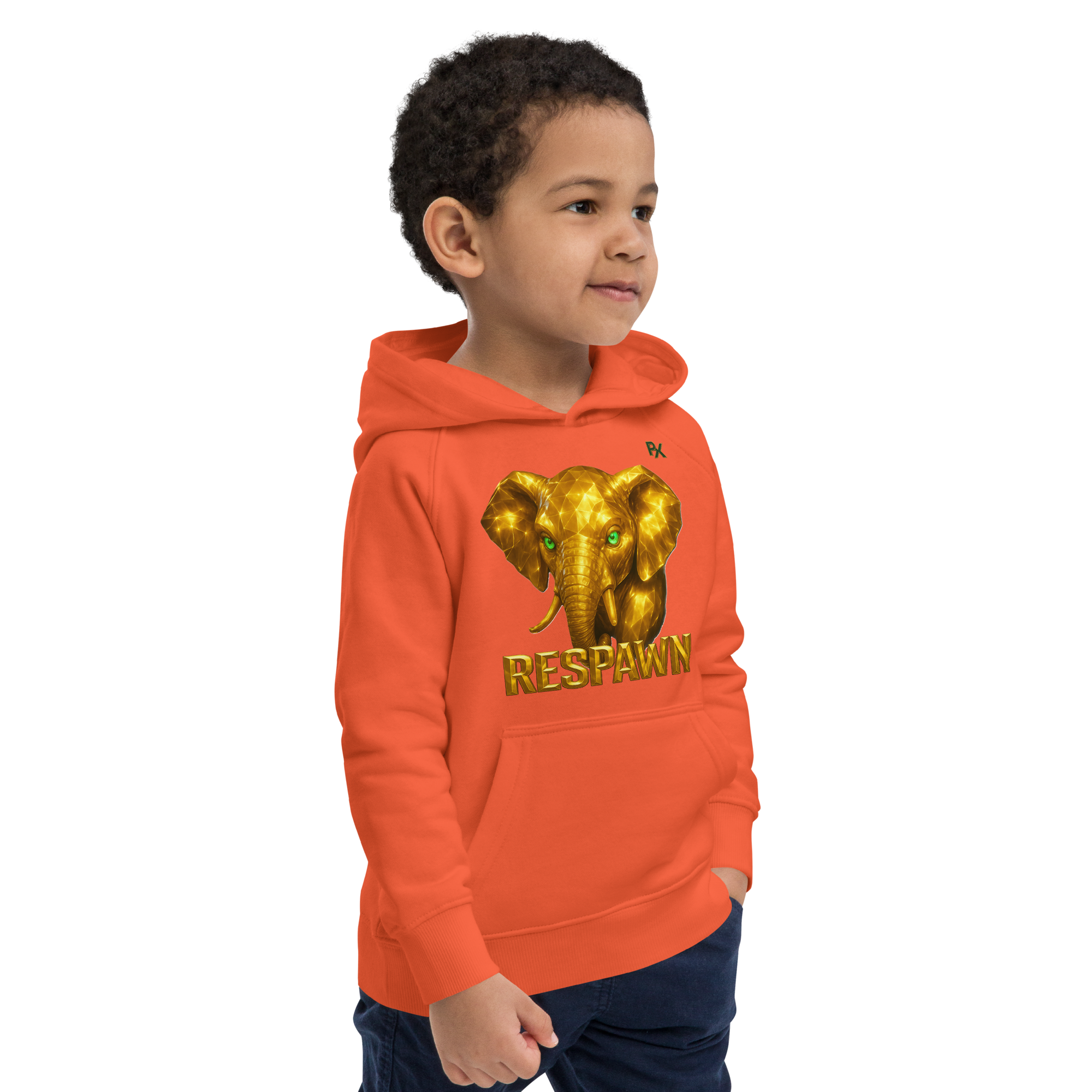 Kids Eco Hoodie | Goldie Respawn Dumbo