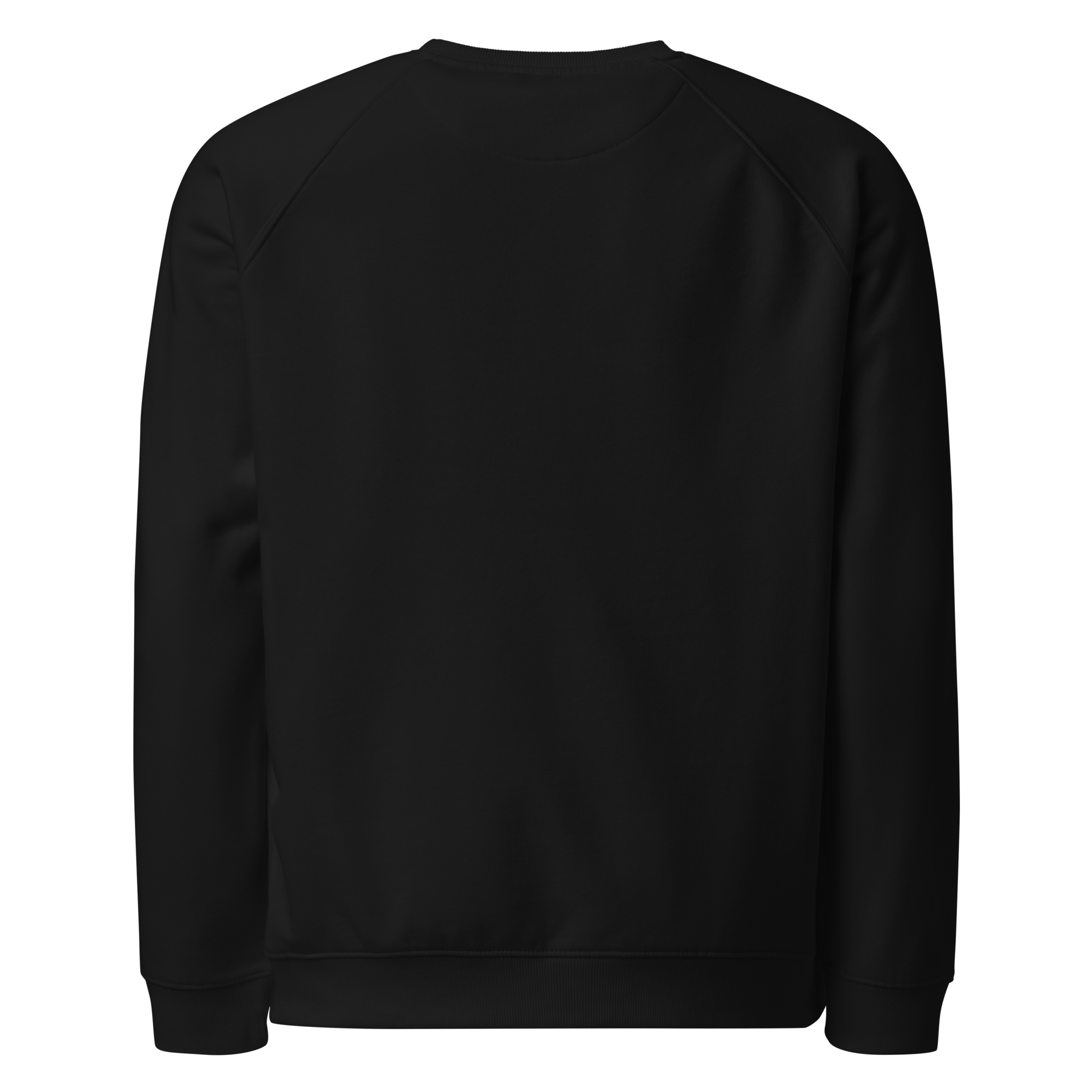 Organic Raglan Sweatshirt | Bloodline Love Engineering