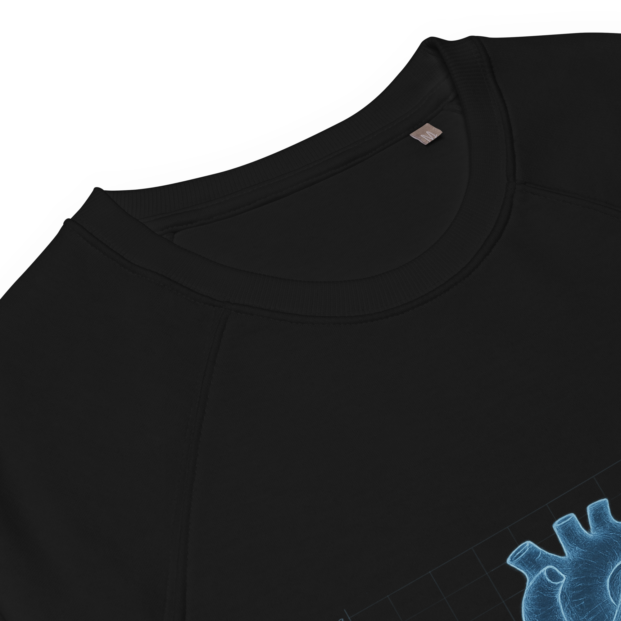 Organic Raglan Sweatshirt | Bloodline Love Engineering