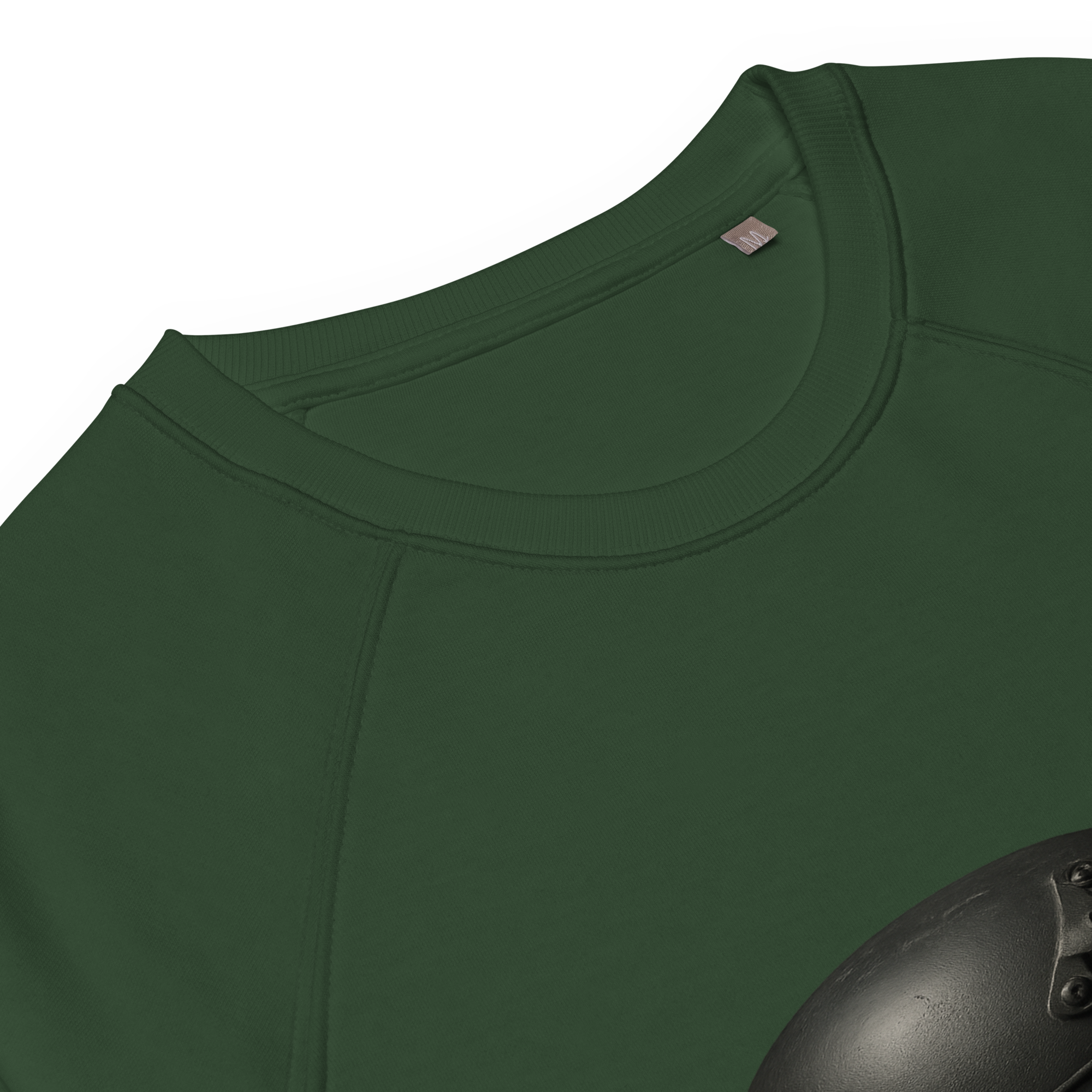 Organic Raglan Sweatshirt | Bloodline War&Peace