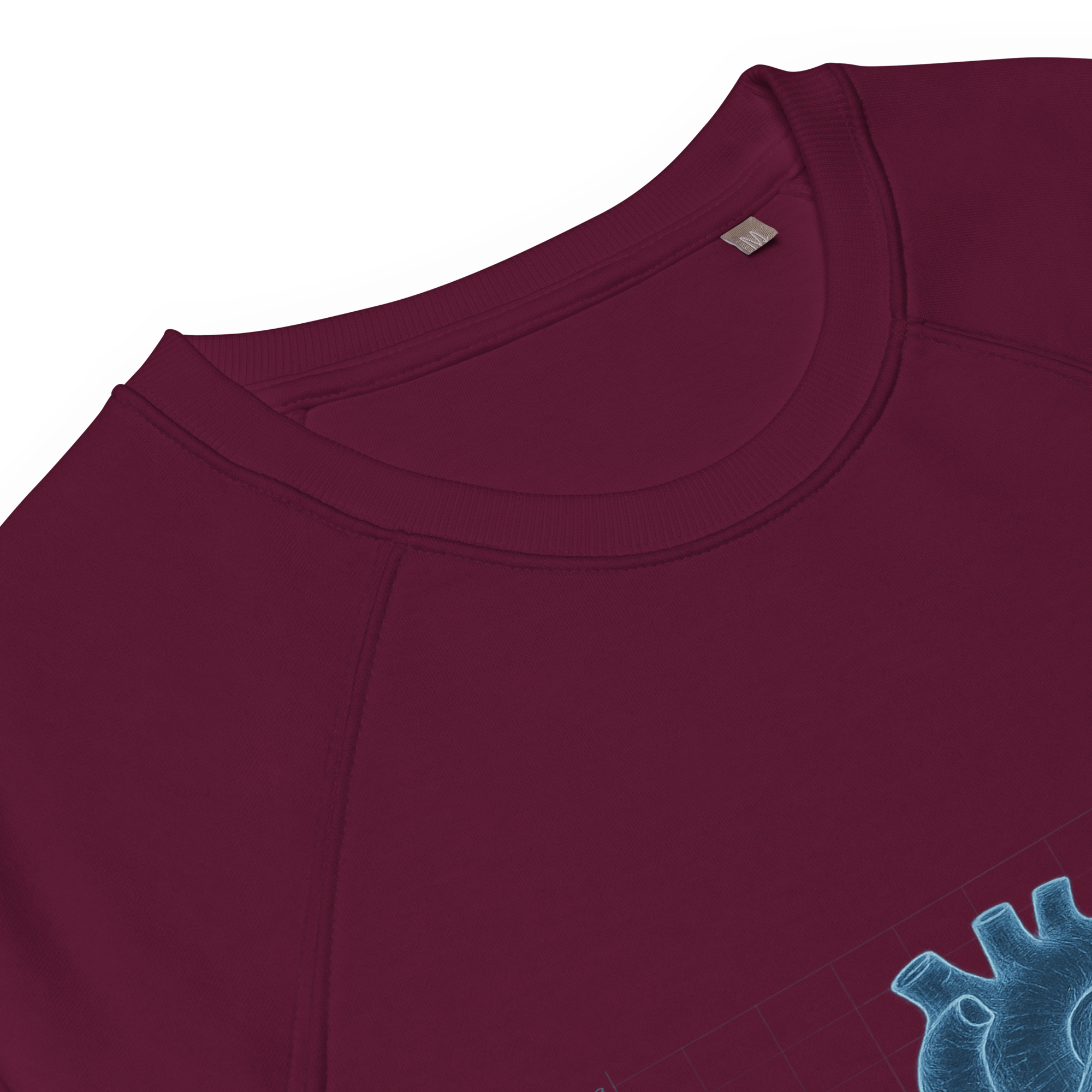 Organic Raglan Sweatshirt | Bloodline Love Engineering