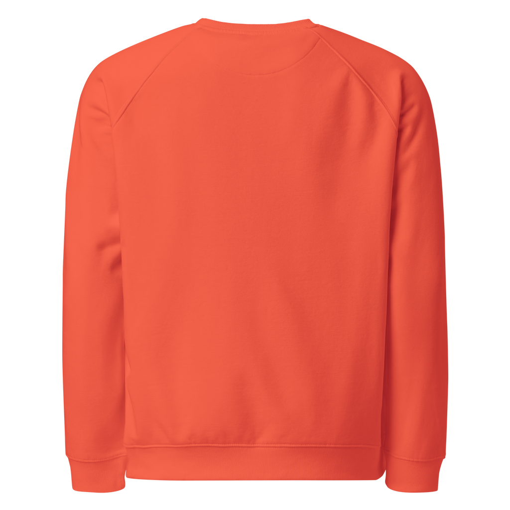 Organic Raglan Sweatshirt | Bloodline Love Engineering