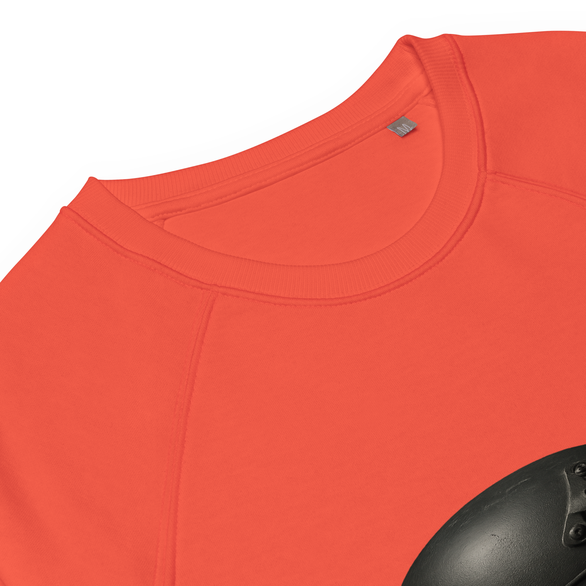 Organic Raglan Sweatshirt | Bloodline War&Peace